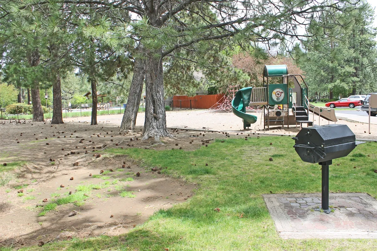 A lively exterior shot featuring a children’s playground set beneath tall trees, with a grill nearby for outdoor cooking and gathering. The atmosphere is filled with the sense of families and kids enjoying sunny days, laughter, and the smell of grilled food.