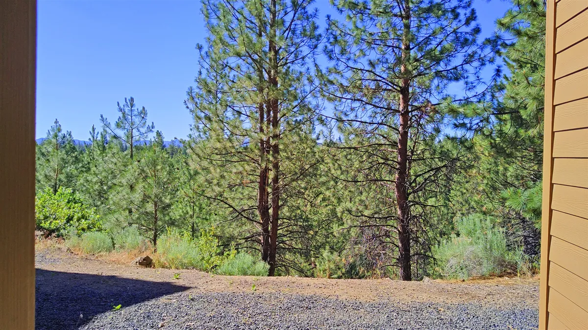 A tranquil gravel pathway meanders beneath tall pine trees with distant mountain views, inviting guests to immerse themselves in nature. The peaceful setting suggests opportunities for hiking, nature walks, and relaxing in the outdoors.